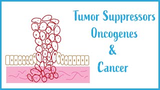 Loss of function and gain of function mutation  oncogenes and tumor suppressor genes [upl. by Amimej]