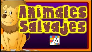 🦈ANIMALES SALVAJES en inglés para niños Educación Primaria 🐊 🐅 [upl. by Hung]