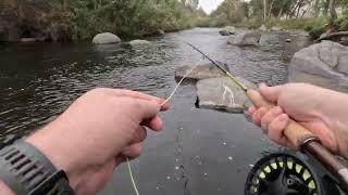 I Might Be Quitting Redington Fly Rods [upl. by Kulseth]