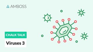 Viruses  Part 3 Viral Replication Process [upl. by Anoel]