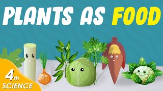 Plants as food  Chitti [upl. by Clarise]