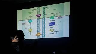 Biosintesis de Acidos Grasos y Eicosanoides Parte1 [upl. by Bigner661]