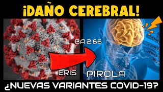 ALERTA ⚠️ CIENTIFICOS REVELAN QUE COVID19 CAUSARÍA DAÑO CEREBRAL ¿RIESGO CON NUEVAS VARIANTES [upl. by Conall859]