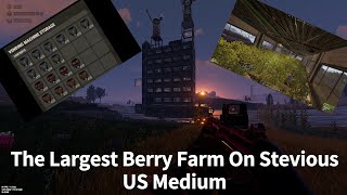 The Largest Berry Farm On Stevious US Medium │Rust [upl. by Myrtle]