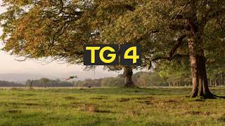 TG4  Cúinne an Ghiorria  Aitheantas  Ident [upl. by Rosecan]