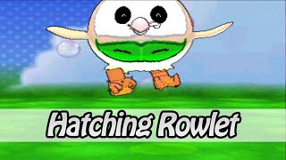 Hatching Rowlet  Pokemon Omega Ruby  Alpha Sapphire Hack [upl. by Kennan]