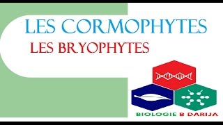 cours cormophytes partie 2  les bryophytes [upl. by Tesler276]