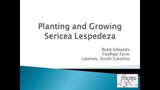 Planting and Growing Sericea Lespedeza [upl. by Wetzel235]