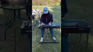 “I Never Lie” by Zach Top pedal steel solo [upl. by Carlo133]