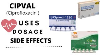 cipval 500 mg uses in urducipval ciprofloxacin ciprofloxacin 500mg uses Dosage and side effects [upl. by Denyse821]