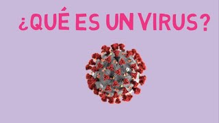 ¿Qué es un virus y Replicación viral [upl. by Aiciruam340]