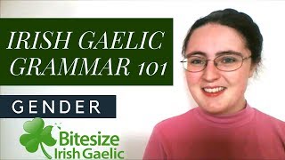 Irish Gaelic Grammar 101  Gender [upl. by Assilym88]