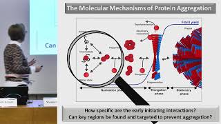 Structural Biology  D1S2 421 Seeing Amyloid Beautiful Structures Toxic  Sheena Radford [upl. by Llertak]