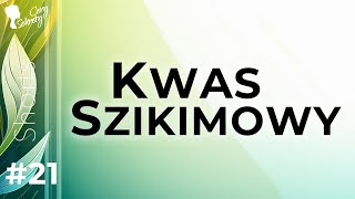 KWAS SZIKIMOWY  ŚWIETNA ALTERNATYWA DLA KWASU SALICYLOWGO [upl. by Aleksandr366]