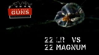 22 LR vs 22 Magnum Clear Ballistics Comparison [upl. by Koeppel]