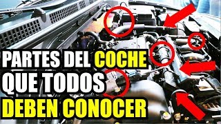 PARTES DEL MOTOR DE UN COCHE  Aprende a revisar el motor de tu auto  Cuánto Gana [upl. by Gleason]