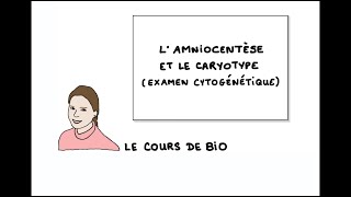 L’aminocentèse et le caryotype examen cytogénétique [upl. by Dilisio]