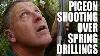 Pigeon shooting over spring drillings [upl. by Weirick]