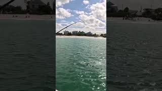 ￼￼Gulfport Florida Fishing Tarpon Silver King Gaint tarponfishing fishing saltlife [upl. by Zephan608]