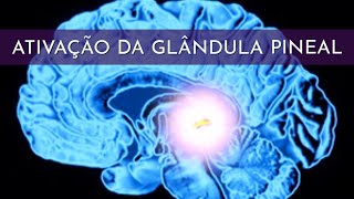 TÉCNICA SIMPLES PARA ATIVAR A SUA GLÂNDULA PINEAL ✨  Abre a Clarividência [upl. by Aneez547]