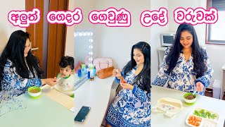 දැන් දවස් ගෙවෙනවා වෙනස් 🥹 අලුත් ගෙදර උදේ වරුව  LIFE IN JAPAN 🇯🇵 [upl. by Festatus]