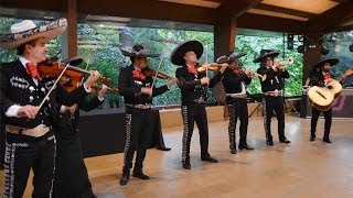 mariachis en Barcelona Son de la negra Mariachi Internacional Barcelona [upl. by Ruphina]