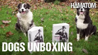 HÄMATOM  Die Liebe ist tot  SUED FreakBox Dog Unboxing [upl. by Anirbed]