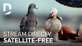 DIRECTV  For The Birds  Girlfriend 30 [upl. by Ayekel669]