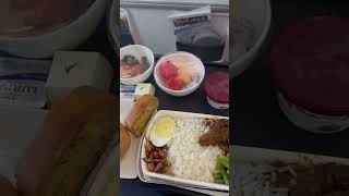 Cathay Pacific Hong Kong to Singapore Premium Economy Nasi Lemak [upl. by Ssalguod788]