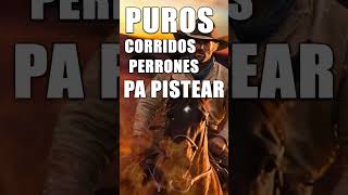 Corridos Rancheras Perrones  Corridos Con Banda Para Pistear  Puros Corridos Viejitos Mix 2024 [upl. by Alleuqahs]