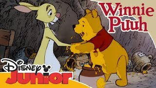 Kleine Abenteuer mit Winnie Puuh  Winnie Puuh besucht Rabbit  Disney Junior [upl. by Conrade]