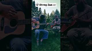 12 String Jam no2  StAlphonzo Mosquitos Attack 12stringguitar guitarplayer jamming [upl. by Mcgannon]