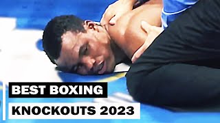 Best Boxing Knockouts of 2023 [upl. by Emia564]