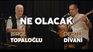 Birol Topaloğlu amp Dertli Divani  Ne Olacak  Canlı Performans 2019 [upl. by Aneroc169]