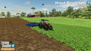 Discing Oilseed Radish Field Sowing Grass amp Oat Rolling🔸Farming Simulator 22🔸HautBeyleron 13🔸4K [upl. by Goulet464]