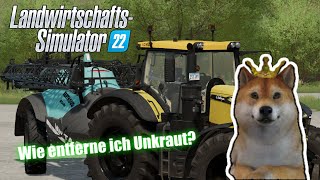 LS25 Unkraut entfernen  Wie entferne ich Unkraut im LS25  LS25 Tutorial [upl. by Eppillihp403]