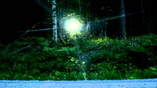 Skogen 2014 Official Trailer [upl. by Kcirderfla]