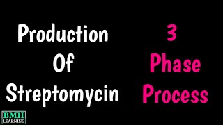 Streptomycin Production  Microbial Production Of Streptomycin  Streptomycin Industrial Production [upl. by Einahpad]