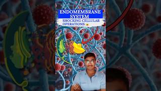 ENDOMEMBRANE SYSTEM The MindBlowing Mechanism of Life 🤯  Biology NEET  Class 11th [upl. by Ynnelg75]