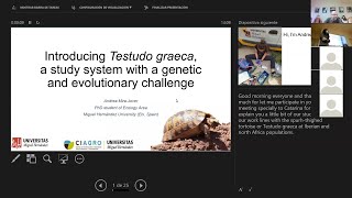 Introducing Testudo graeca a study system with a genetic and evolutionary challenge [upl. by Gar443]