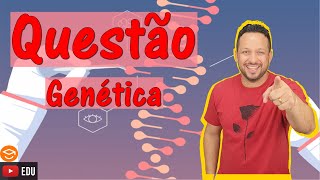 Primeira Lei de Mendel  Questão  Genética [upl. by Aneehsyt]