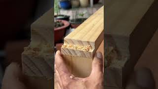 This woodworking technique is almost extinct construction diy [upl. by Eeleimaj]