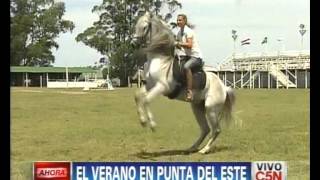 C5N  VERANO 2013 CABALGATAS EN PUNTA DEL ESTE [upl. by Besnard]