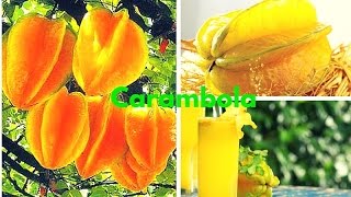 CARAMBOLA 14 Importantes Propiedades Medicinales para la Salud [upl. by Lyrrehs561]