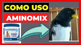 COMO USO AMINOMIX PET NOS MEUS COLEIROS [upl. by Acinok]