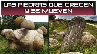 Los Trovants Las piedras que crecen y se mueven [upl. by Lawry369]