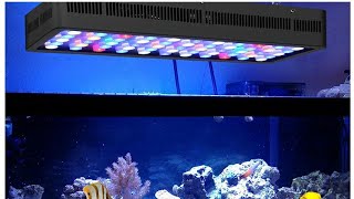 BLACK BOX LED LIGHT 165 WATT FOR REEF TANK MARINE ADDICT [upl. by Veronica]