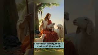 Kalangina nerangalil  கலங்கின நேரங்களில் கை தூக்கி எடுப்பவரே  jesus love god  johnjebaraj [upl. by Rekcut626]