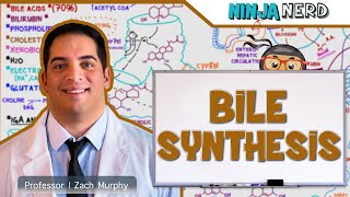 Gastrointestinal  Bile Synthesis [upl. by Galan]