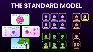 All Fundamental Forces and Particles Explained Simply  Elementary particles [upl. by Doownil]